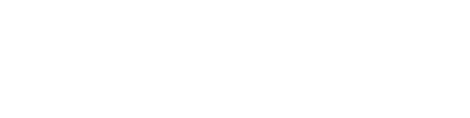 Grupo Saneri