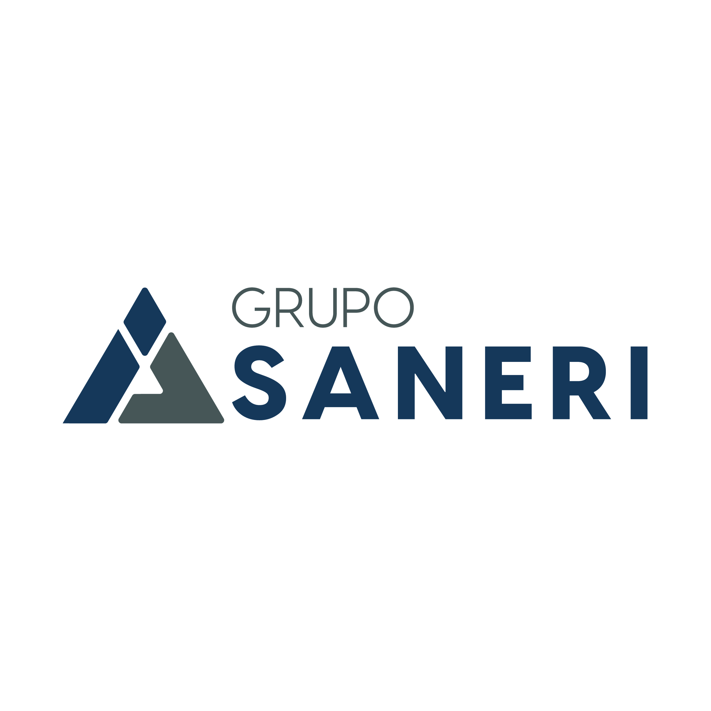 Grupo Saneri