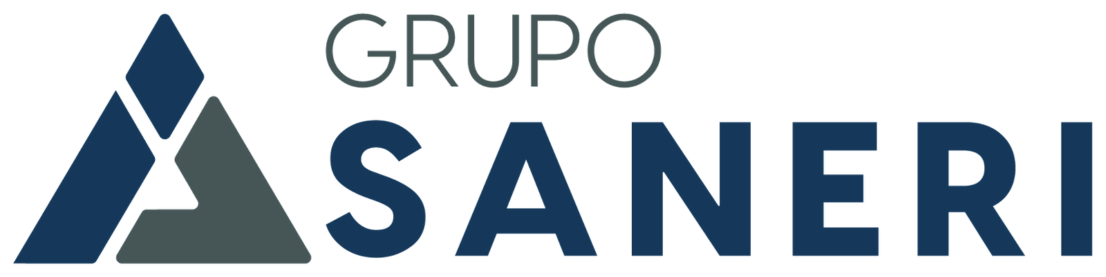Grupo Saneri